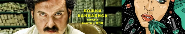 ГАЛЛЮЦИНОГЕННЫЕ ГРИБЫ Алексин