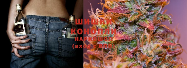 крисы Алексеевка